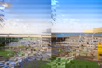 Oz Hotels Side Premium