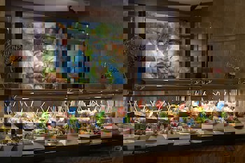 Oz Hotels Side Premium