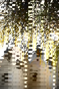 Oz Hotels Side Premium