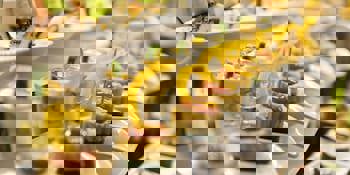 Oz Hotels Side Premium