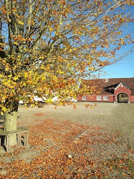 Holtegaard Bed & Breakfast