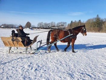 Holtegaard Bed & Breakfast