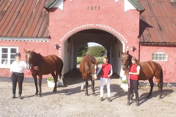Holtegaard Bed & Breakfast