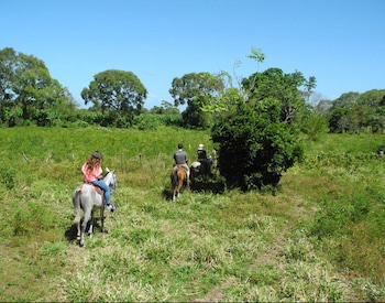Finca San Juan De La Isla