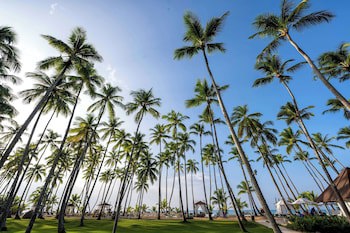 Viva V Samana By Wyndham, A Trademark Adults All Inclusive