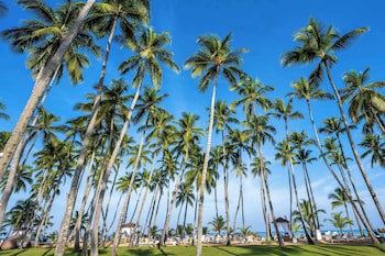 Viva V Samana By Wyndham, A Trademark Adults All Inclusive