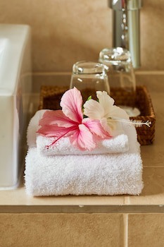 Forest Manor Boutique Guesthouse