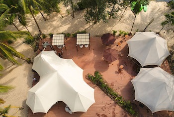Canvas And Orchids Retreat