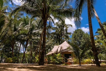 Canvas And Orchids Retreat