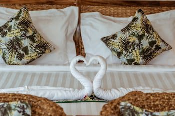 Canvas And Orchids Retreat