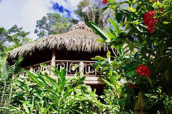 Villas Pico Bonito