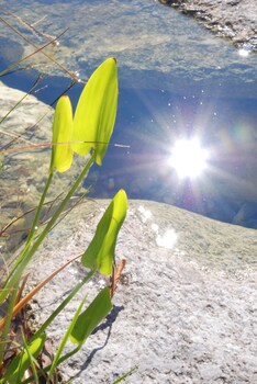 Traumhotel Alpina - Yoga & Ayurveda Adults Only