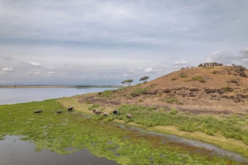 Sentrim Amboseli Lodge