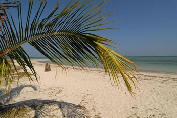 Silversand Beach Resort