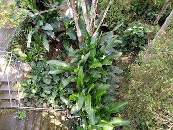 Atres Villa