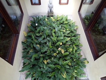 Atres Villa