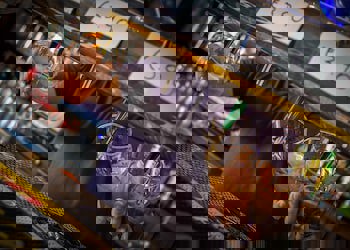 Antonis G. Hotel Apartments