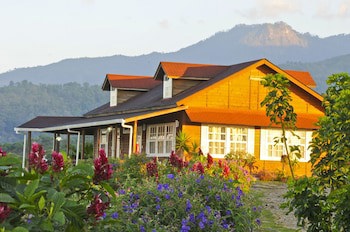 Finca Hamburgo