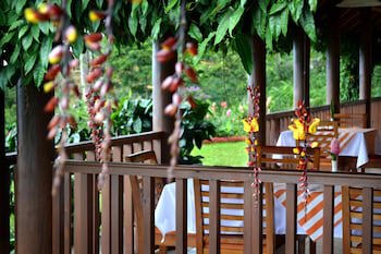 Finca Hamburgo