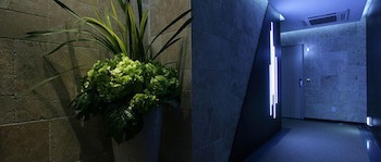 Antives Hotel