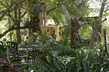 Yellow Aloe Guesthouse