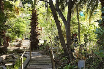 Yellow Aloe Guesthouse
