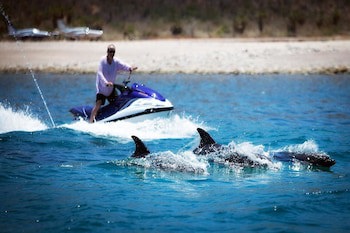 Rancho Las Cruces Baja California Sur