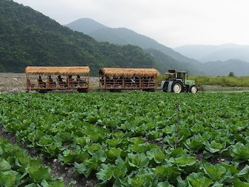 Yingshih Resort