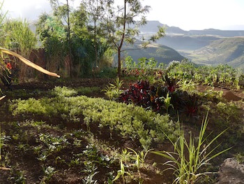 Sora Lodge Lalibela