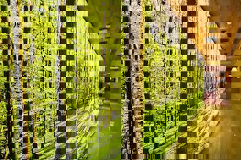 Dosso Dossi Hotels & Spa Downtown