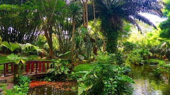 Mesastila Resort And Spa