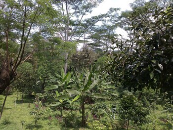 Mesastila Resort And Spa