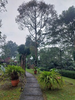 Mesastila Resort And Spa