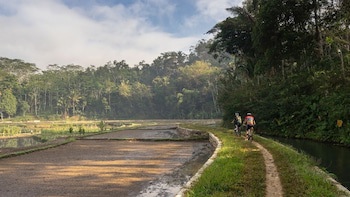 Mesastila Resort And Spa