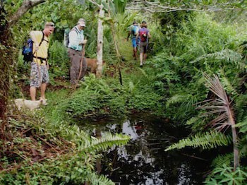 Taveuni Island Resort And Spa