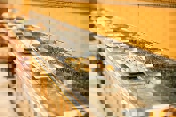 The Central Palace Taksim