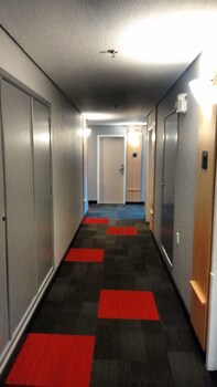 Ibis Joinville