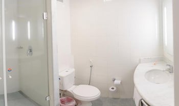 Ibis Joinville