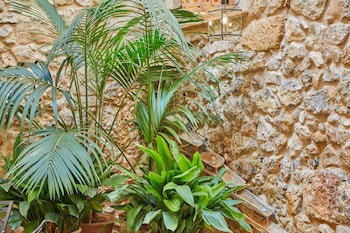 Cas Comte Suites & Spa - Adults Only