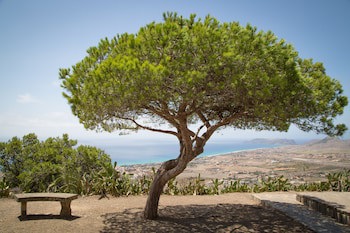 Vila Baleira Porto Santo