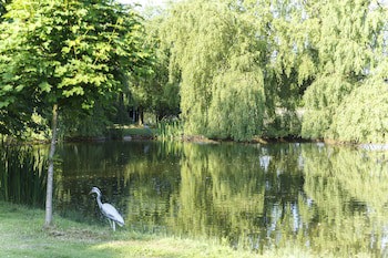Champneys Springs
