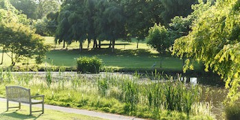 Champneys Springs