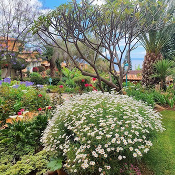Quinta Splendida Wellness & Botanical Garden