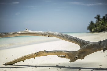 Four Seasons Resort Seychelles At Desroches Island