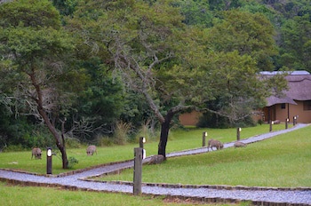 Premier Resort Mpongo Private Game Reserve