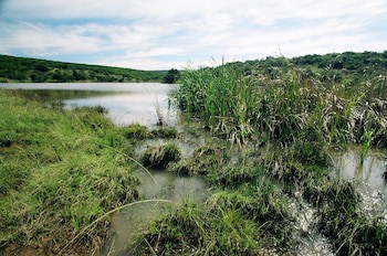 Premier Resort Mpongo Private Game Reserve