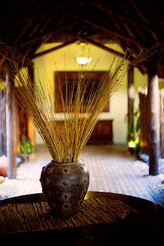 Premier Resort Mpongo Private Game Reserve