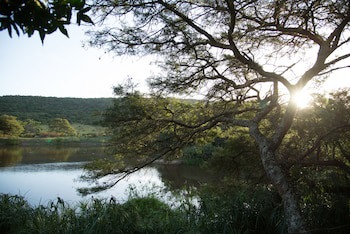 Premier Resort Mpongo Private Game Reserve
