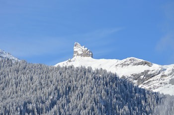 Hotel Silberhorn - Residences & Spa Wengen