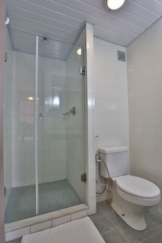 Ibis Maringa